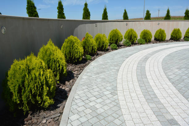 Reasons to Select Us for Your Driveway Paving Requirements in Reidland, KY